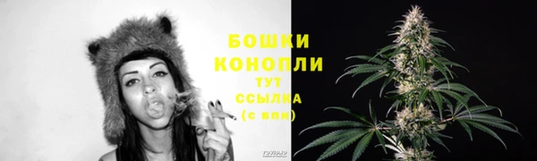 ECSTASY Белокуриха