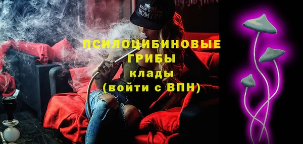 ECSTASY Белокуриха