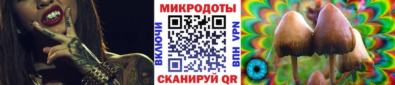 цены   Болохово  Псилоцибиновые грибы GOLDEN TEACHER 